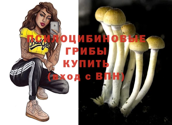 винт Балахна