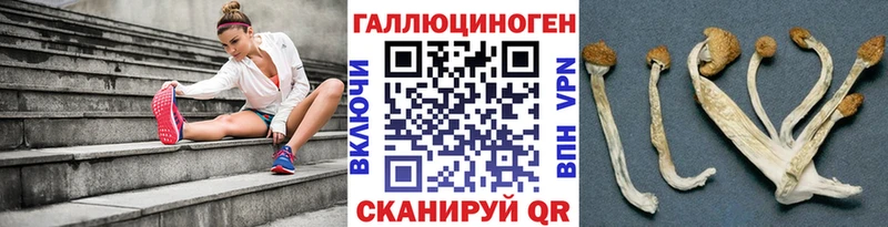 Псилоцибиновые грибы прущие грибы  Купить закладки  Тобольск 